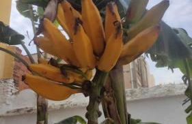 Precioso apartamento con a/a en Ruzafa con terracita privada y acceso a un jardín, para 2-3 personas - Photo 14