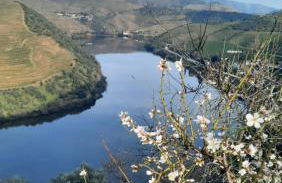 Andar Moradia T4 na Casa do Olival - Foto 33