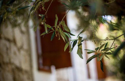 Holiday Home Shangri-La - Photo 64