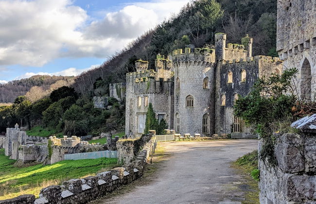 Emlyn's Coppice - Woodland Glamping - Foto 50