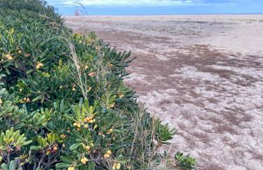 Idyllique ! Terrasse vue jardin et montagne, parking, local à vélos, à 2 pas de la plage et piscine de mai à septembre ! - Foto 45
