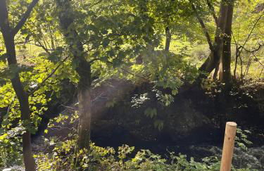 AfonCoed - A cozy, quiet stay by the river - Foto 4