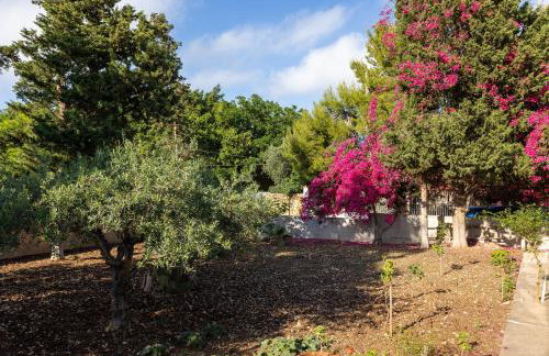 Vacanze Lido Valderice - Photo 9