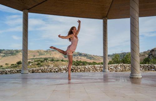 Ciuci's Manor - Foto 56