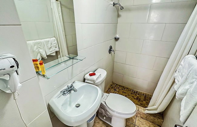 Gladiolas 2101 - Foto 6