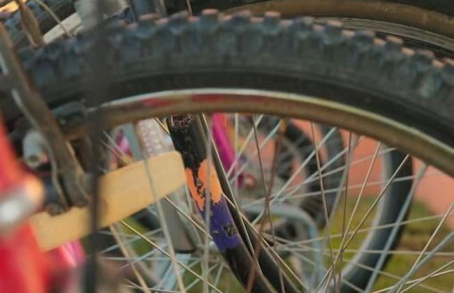 Agriturismo Fossederi - Foto 30