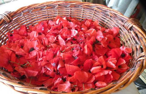 Country House Erba Regina - Foto 91