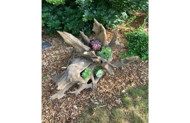 Holiday Home Schwalm - Foto 24