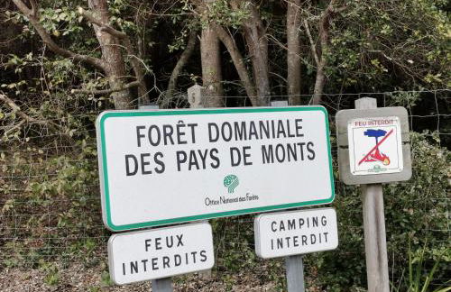 L'Ecoliere - Photo 21