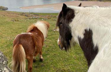 Sea View Cabin - Foto 32