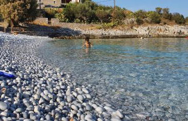 Olive oil mill - Foto 57