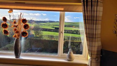 no 7 boutique apartment - Foto 5