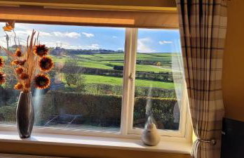 no 7 boutique apartment - Foto 5