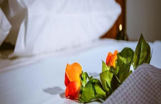 Traditional Apartments Elafos - Foto 6