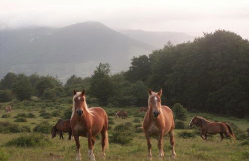 Agroturismo Mari Cruz - Foto 43