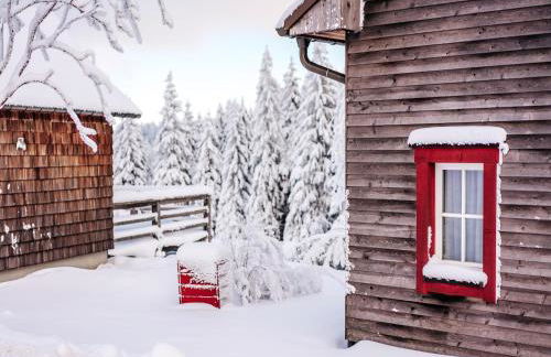 Holiday Homes in Torfhaus Harzresort, Torfhaus - Foto 140