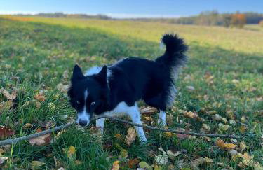 Przystanek Gałkowo - Foto 78