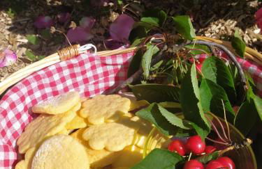 La casa nel Monferrato "LA CONTENTËSSA" - Photo 2