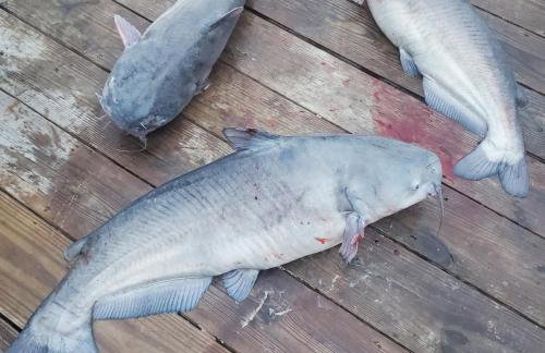 the bachelorette - Foto 57