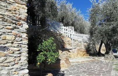 Podere San Martino - Foto 24