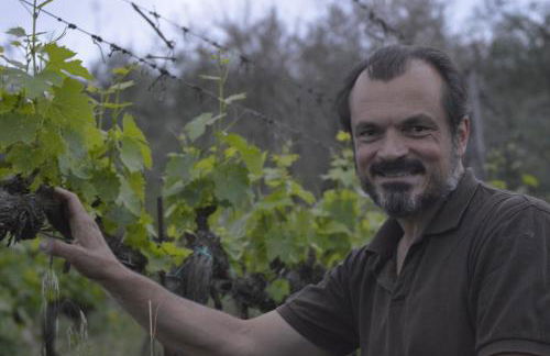 Podere dell'Anselmo - Foto 88