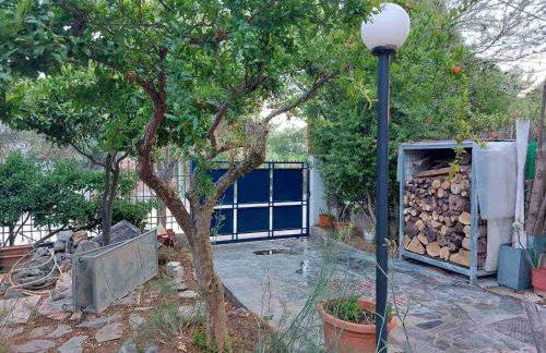 House on the beach - Photo 7