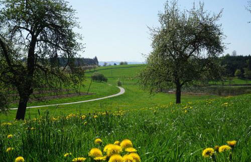Haus am See - Ferienwohnungen - Foto 63
