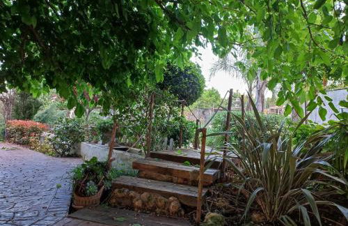 Les moreres a space for tranquility - Foto 10