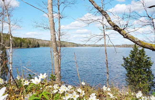 6 Person Holiday Home in Hedekas-by Traum - Foto 5