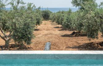 Casa Del Olivar - Foto 13