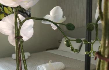 Dokos D Studios - Foto 24