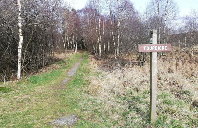 Escape in Hautes Fagnes - Photo 33