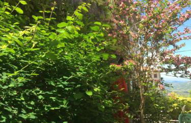 Appartamento Turistico Dal Morino - Foto 43