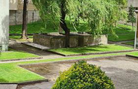 Enjoy Porto's Vibes - Foto 6