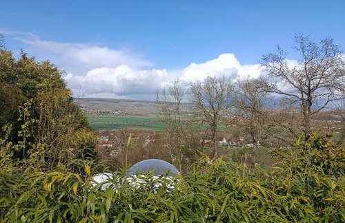 Le Coq de Champagne - Foto 15