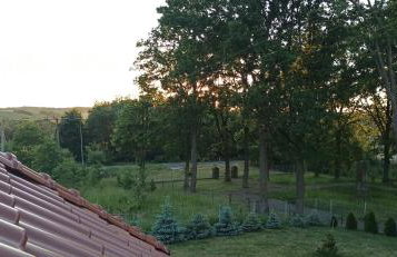 Agroturystyka Pokój na Skarpie - Foto 26