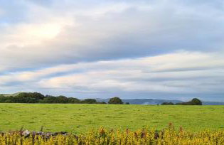 Quakers Field View - Foto 27