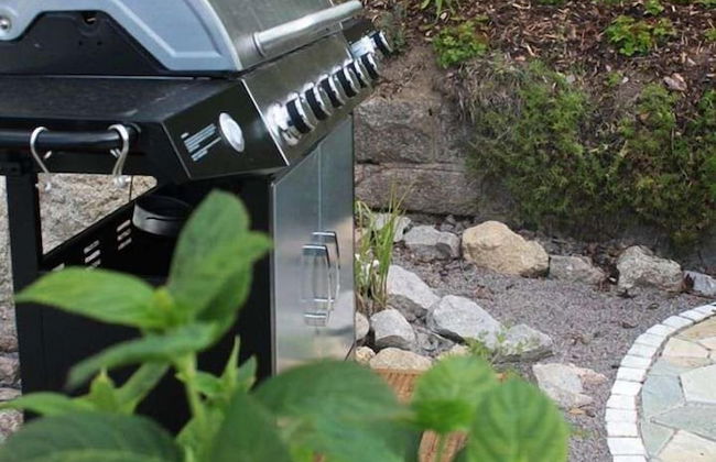 Ferienwohnungen Hochschwarzwald - Photo 37