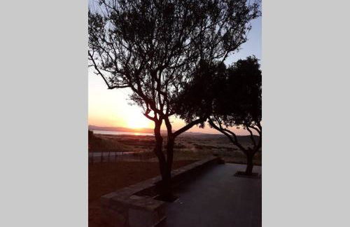 Paliokaliva Home - Foto 63