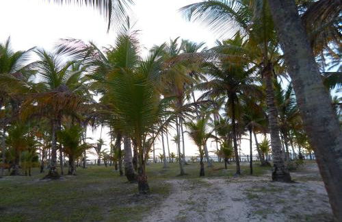 Chale da Lu - Photo 47