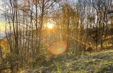 La maison des douceurs - Foto 28