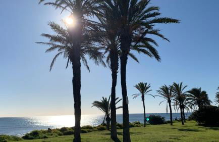 Apartment with side seaview 60 meters from sea - Foto 31