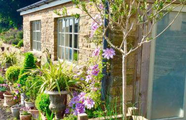 Lavender cottage - Foto 1