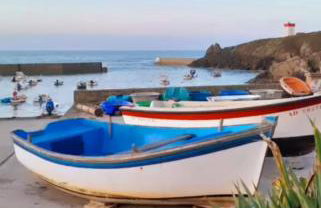 Les hortensias de papy - Foto 15