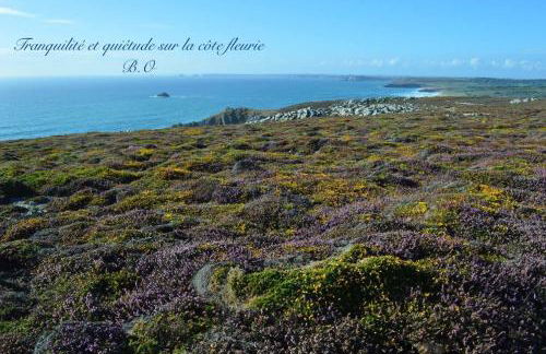 Le Clos des Agapanthes - Foto 36