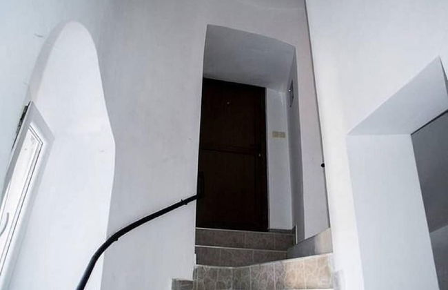 Veronika Group Radićeva - Photo 2