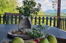 Relax House Lara in Krapinske Toplice - Foto 9