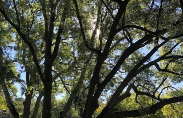 Maison Prunier - Foto 11