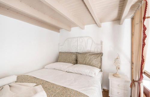 Rodies House - Foto 16