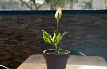 Relaxing Villa Las Torres - Foto 10